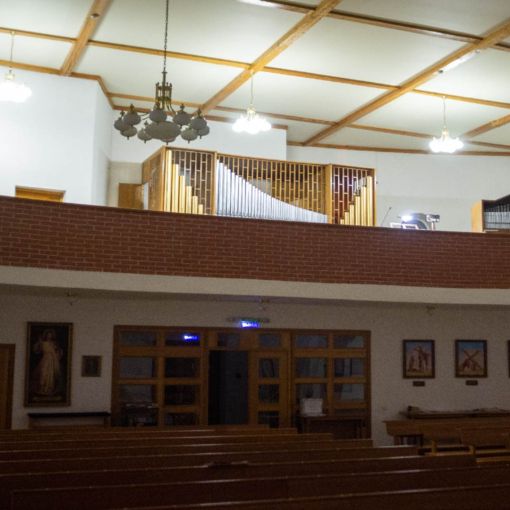 Organ2